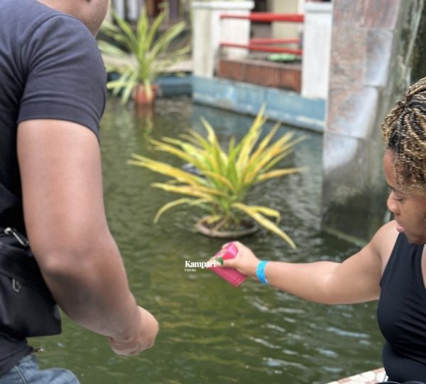 feeding Koi fish 2